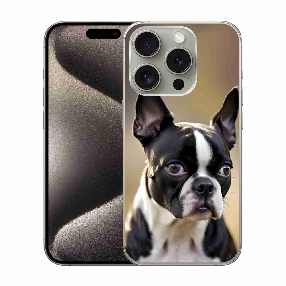 mmCase gél tok az iPhone 15 Pro-hoz – bostoni terrier