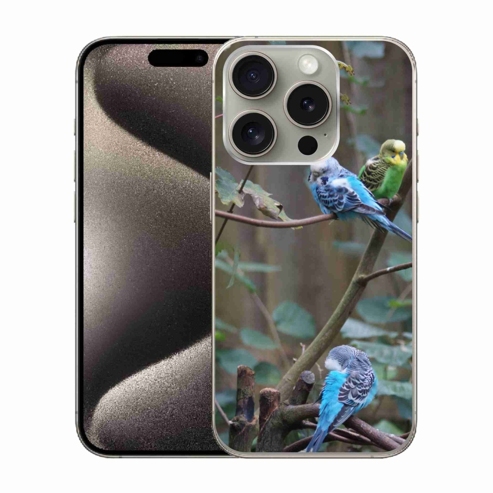 mmCase gél tok az iPhone 15 Pro-hoz – papagájok egy ágon