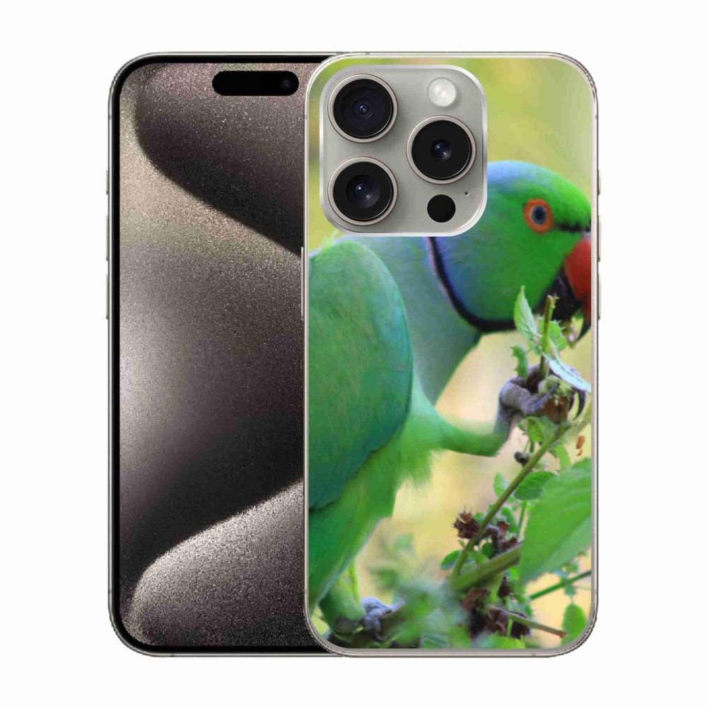 Zselés borítás mmCase iPhone 15 Pro készülékhez - papagáj alexandr