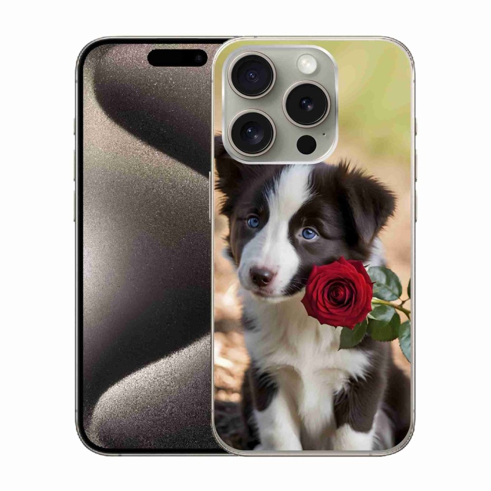 mmCase gél tok az iPhone 15 Pro-hoz – aranyos border collie rózsával