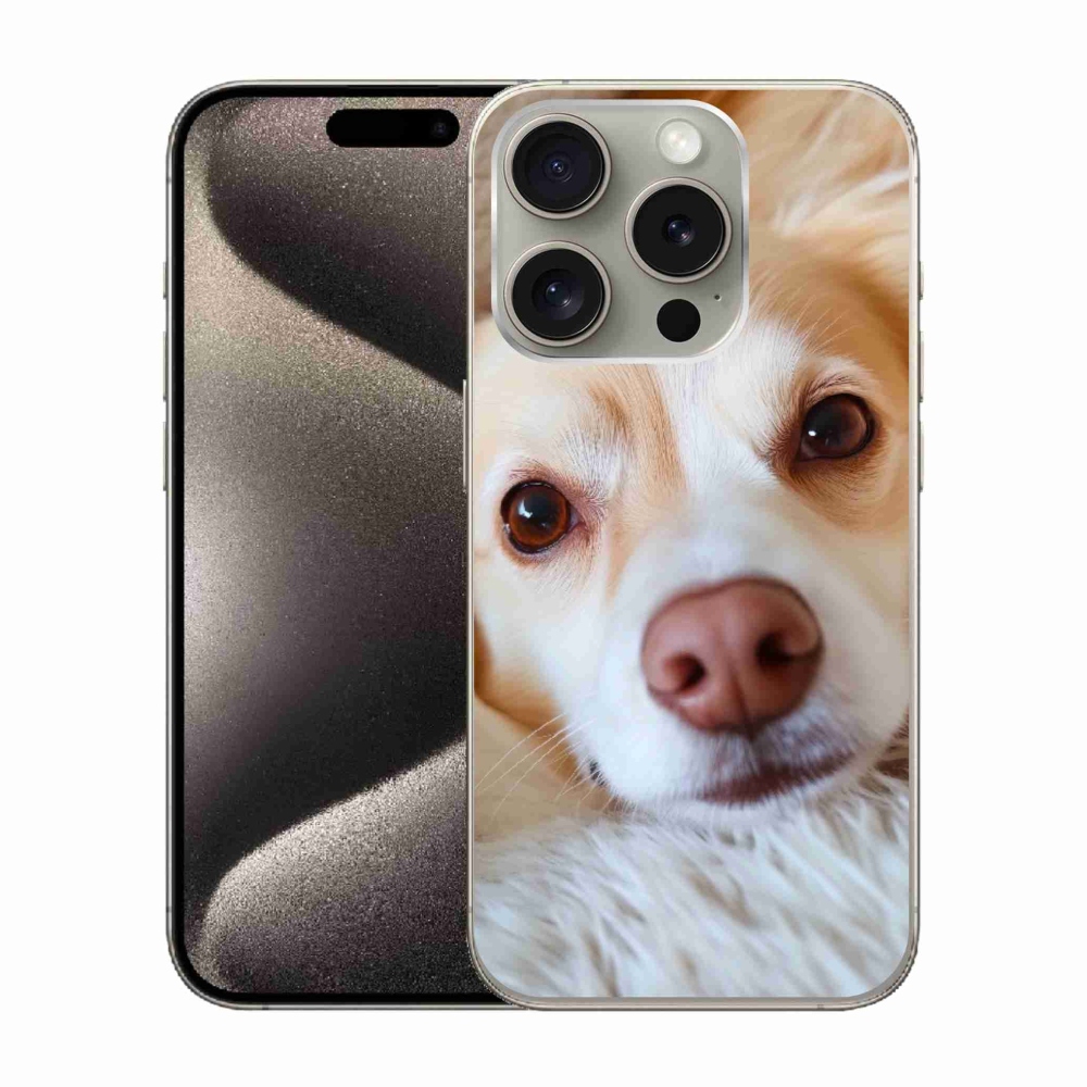 mmCase gél tok az iPhone 15 Pro-hoz – Aranyos csivava