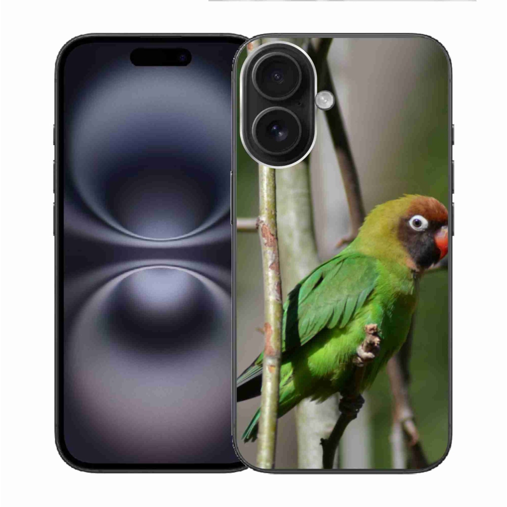 Gél borítás mmCase iPhone 16-hoz - papagáj agapornis
