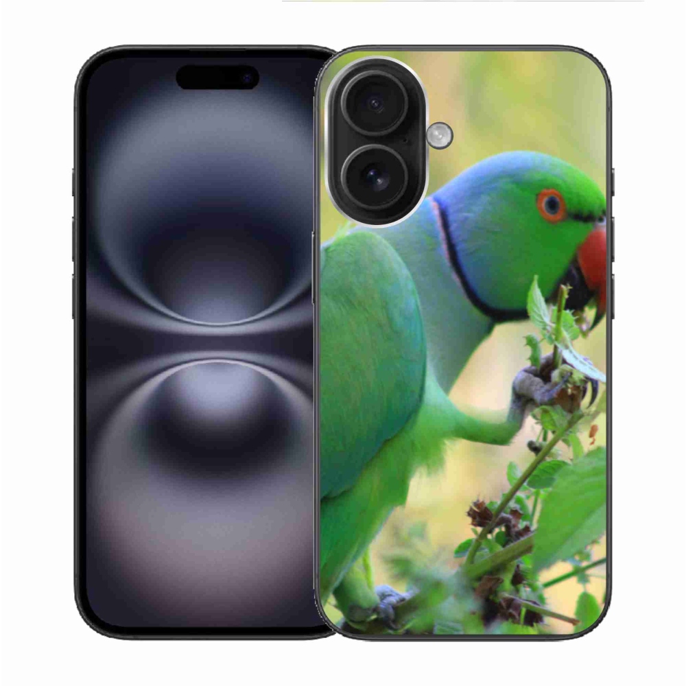 Zselés borítás mmCase iPhone 16 készülékhez - papagáj alexandr