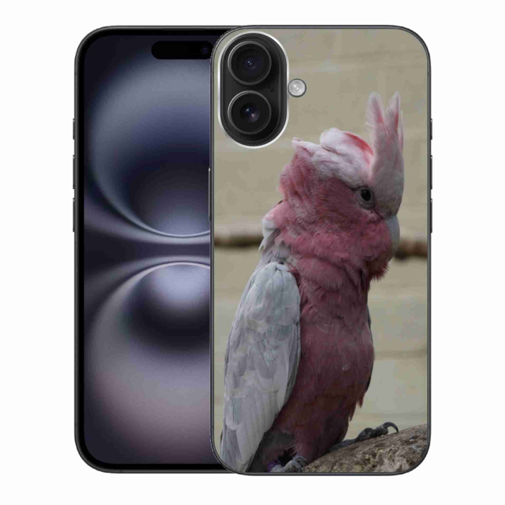 Zselés borítás mmCase iPhone 16 Plus készülékhez - papagáj kakadu rózsaszínű