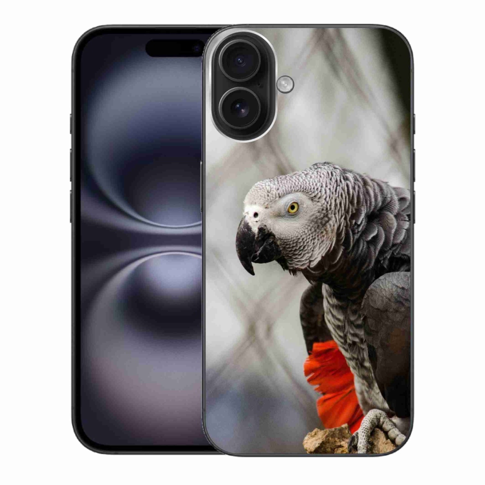 mmCase gél tok az iPhone 16 Plus-hoz – szuka papagáj 3