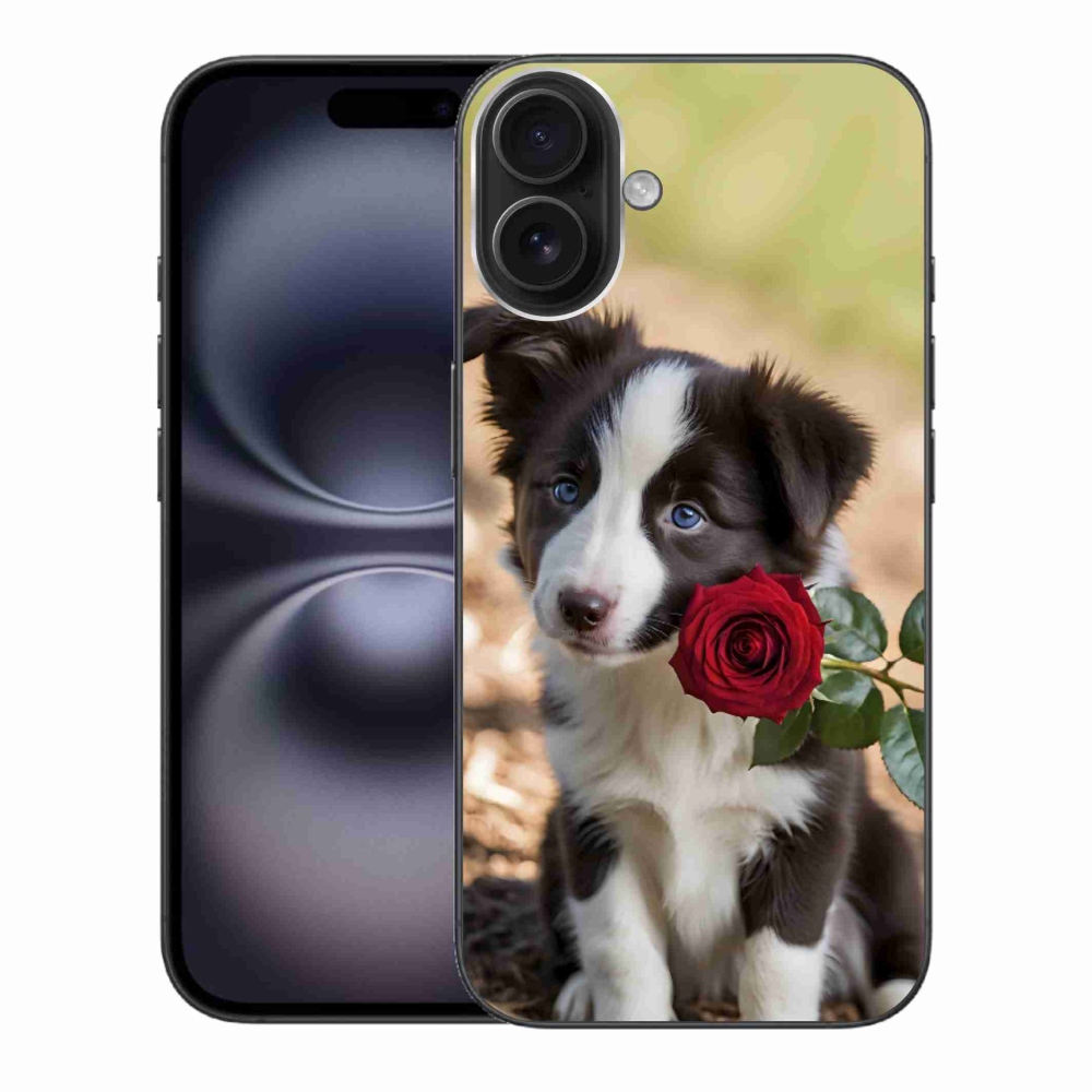 mmCase gél tok az iPhone 16 Plus-hoz – aranyos border collie rózsával