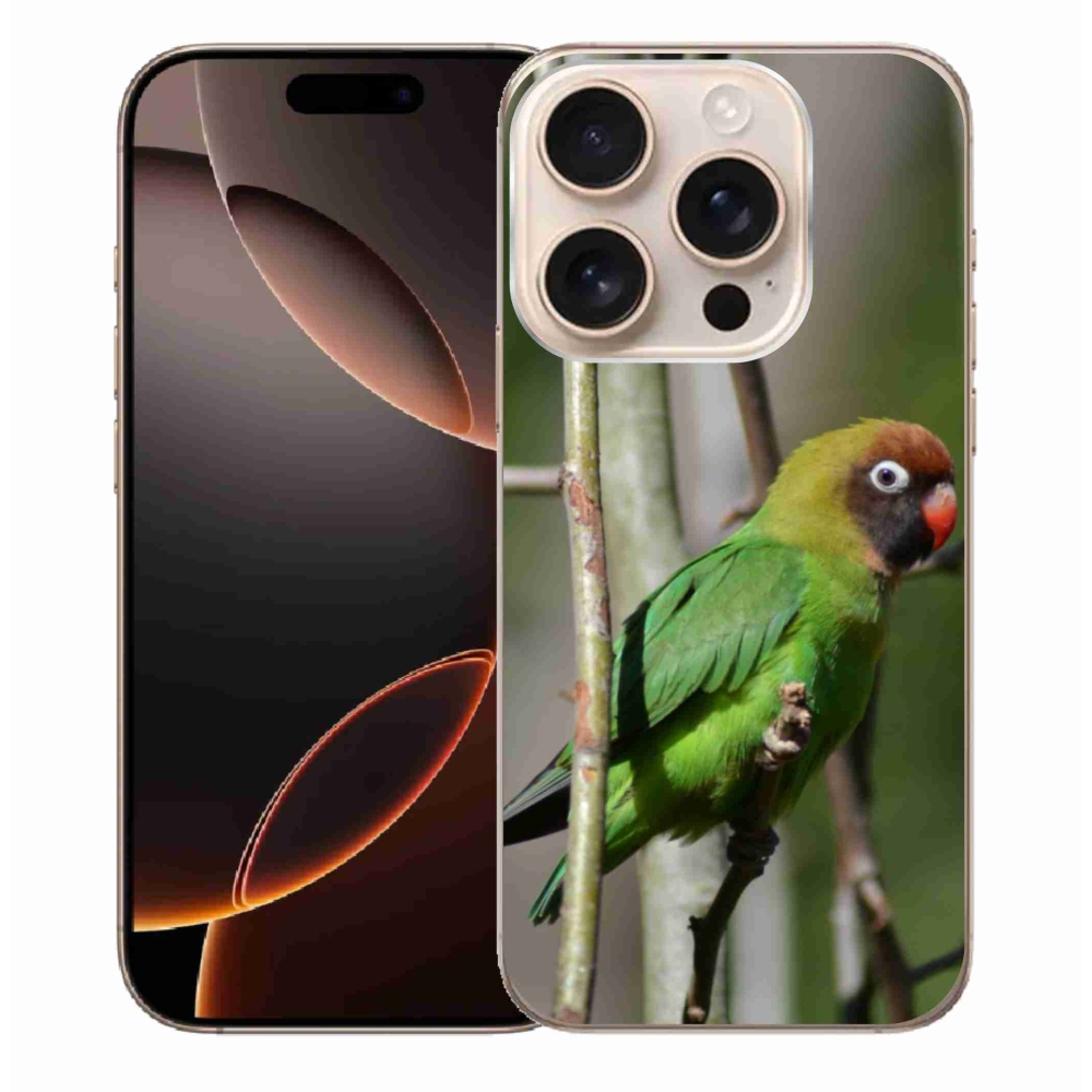Gél borítás mmCase iPhone 16 Pro Max készülékhez - papagáj agapornis
