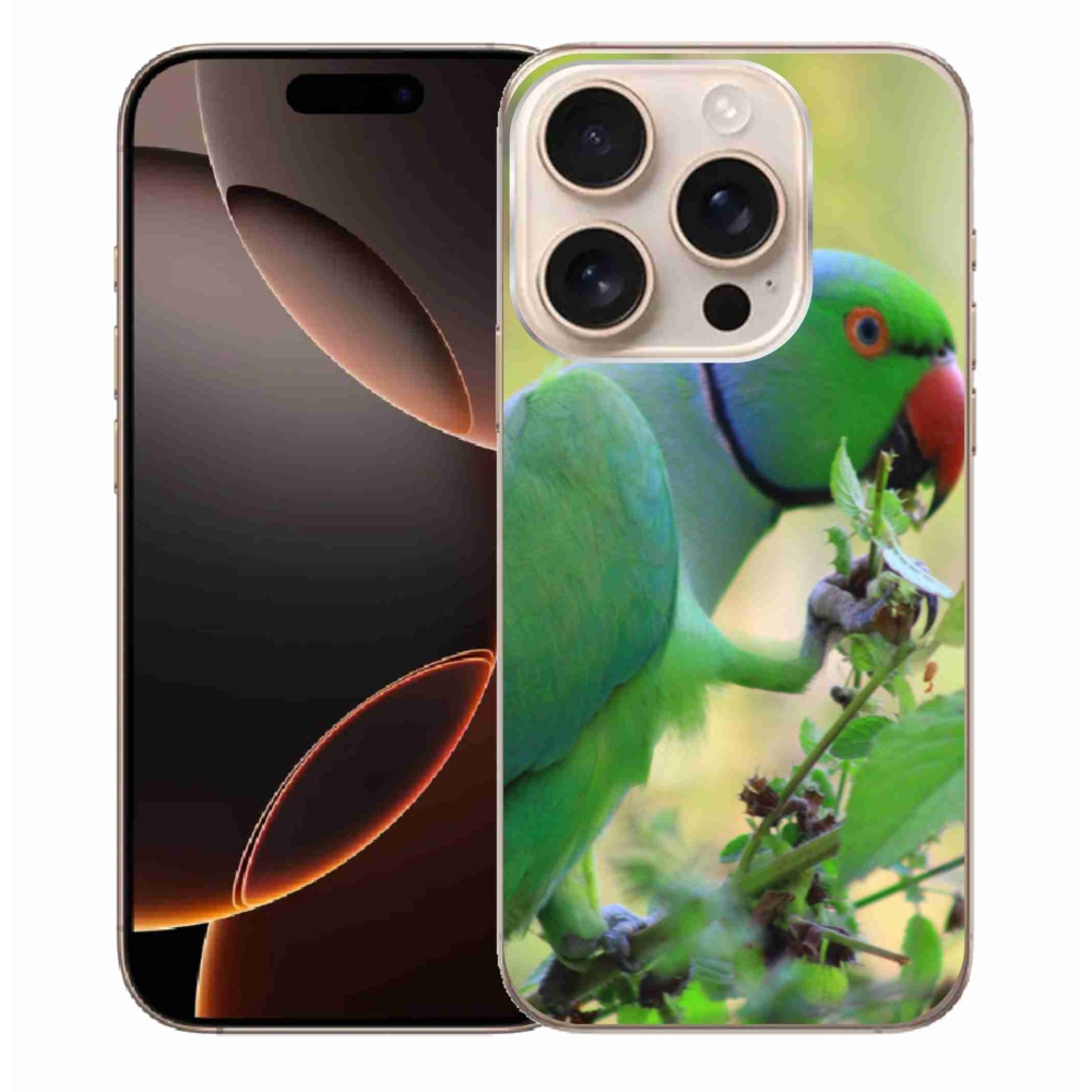 Zselés borítás mmCase iPhone 16 Pro Max készülékhez - papagáj alexandr