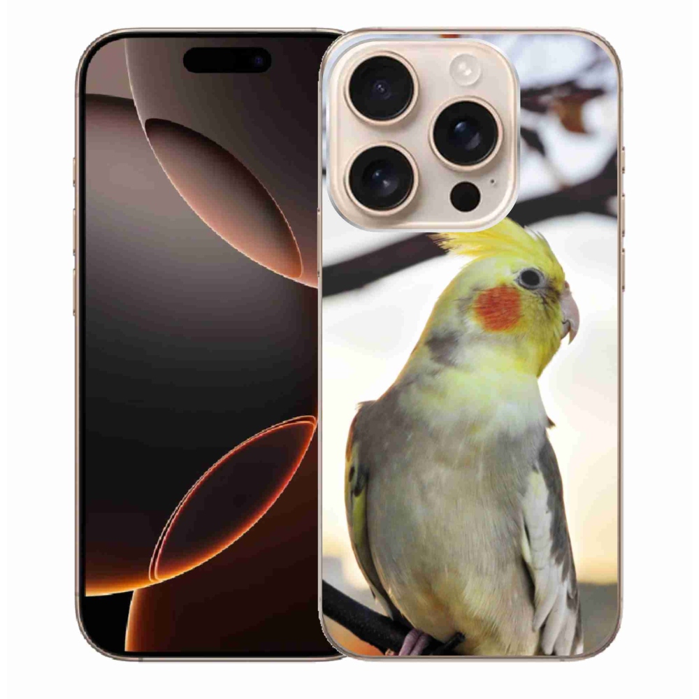 Gél borítás mmCase iPhone 16 Pro Max készülékhez - papagáj korela