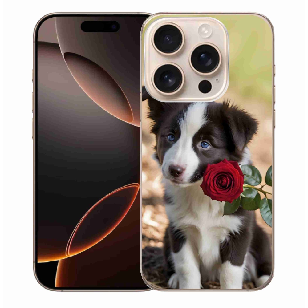 mmCase gél tok az iPhone 16 Pro Max-hoz – aranyos border collie rózsával