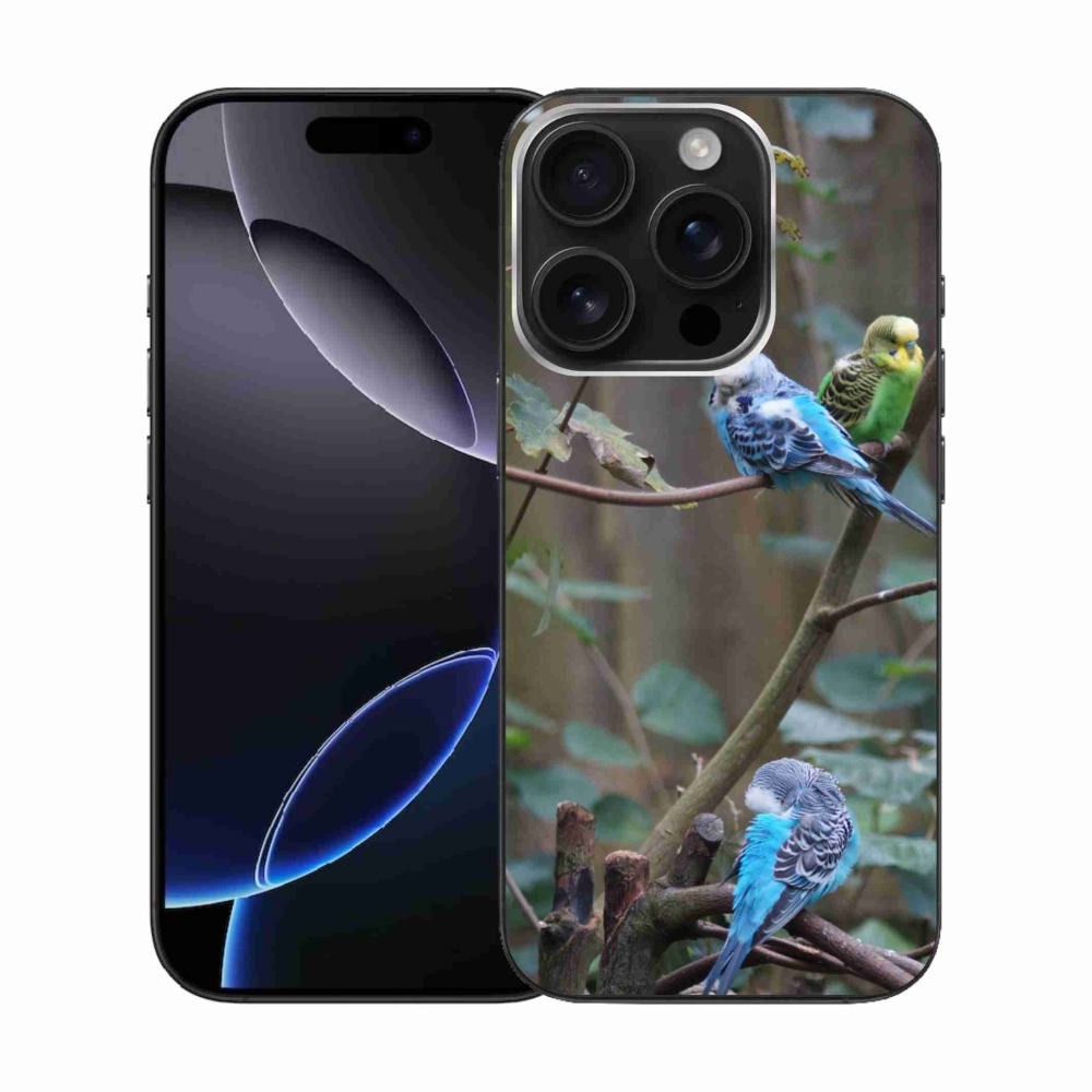 mmCase gél tok az iPhone 16 Pro-hoz – papagájok egy ágon