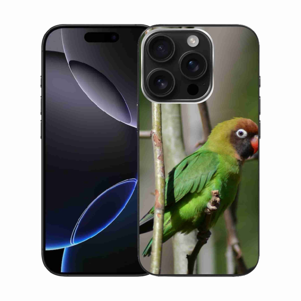 Zselés borítás mmCase iPhone 16 Pro készülékhez - papagáj agapornis