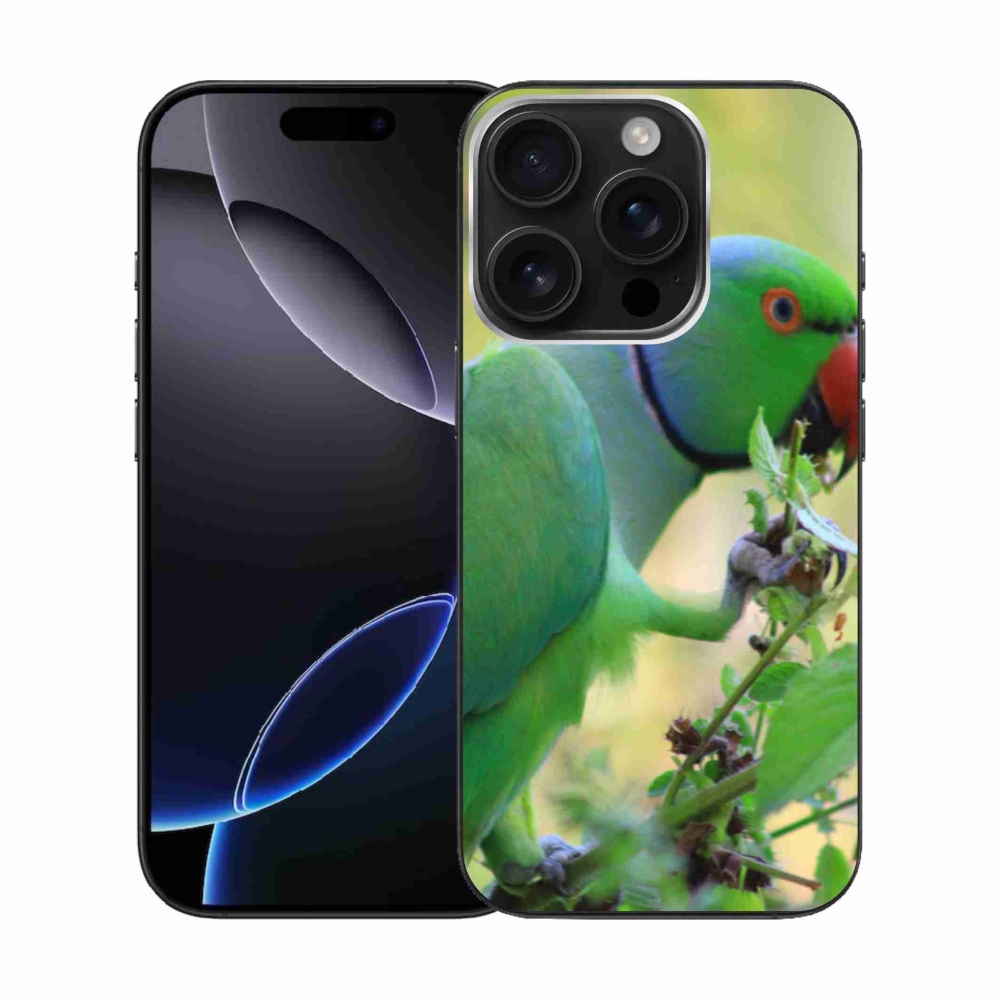 Zselés borítás mmCase iPhone 16 Pro készülékhez - papagáj alexandr