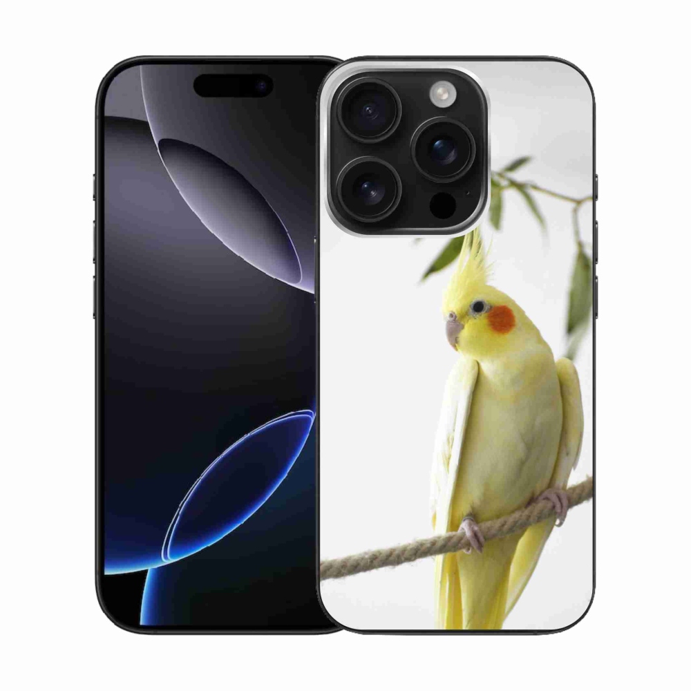 mmCase gél tok az iPhone 16 Pro-hoz – tollas papagáj