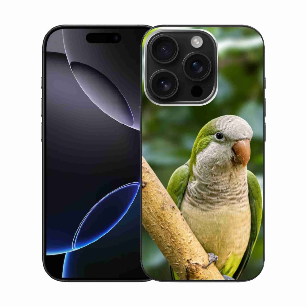 Gél borítás mmCase iPhone 16 Pro készülékhez - papagáj