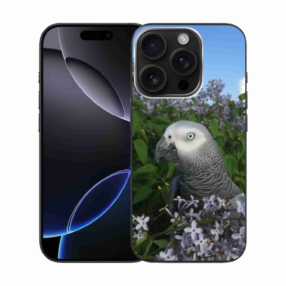 Gél borítás mmCase iPhone 16 Pro készülékhez - papagáj