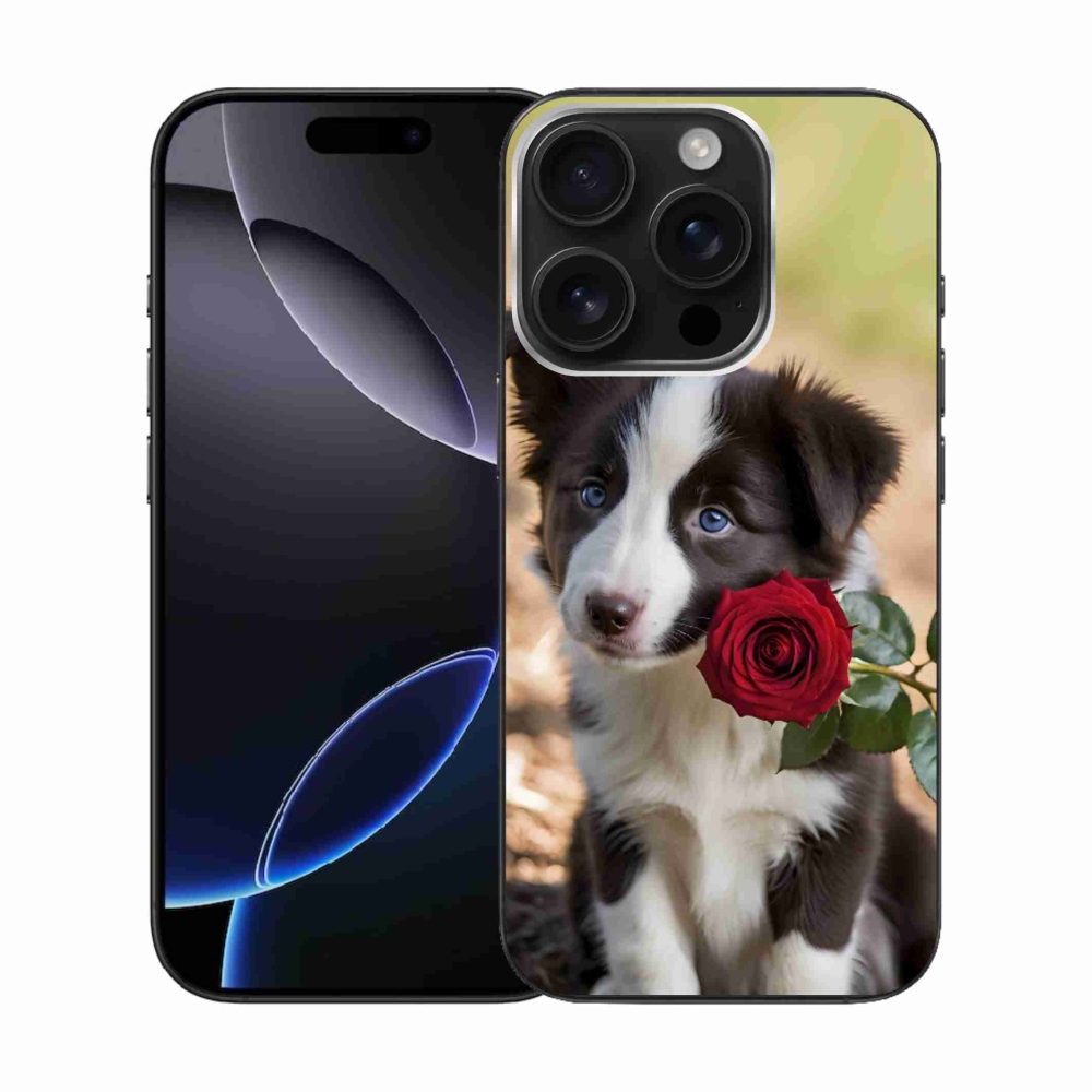 mmCase gél tok az iPhone 16 Pro-hoz – aranyos border collie rózsával