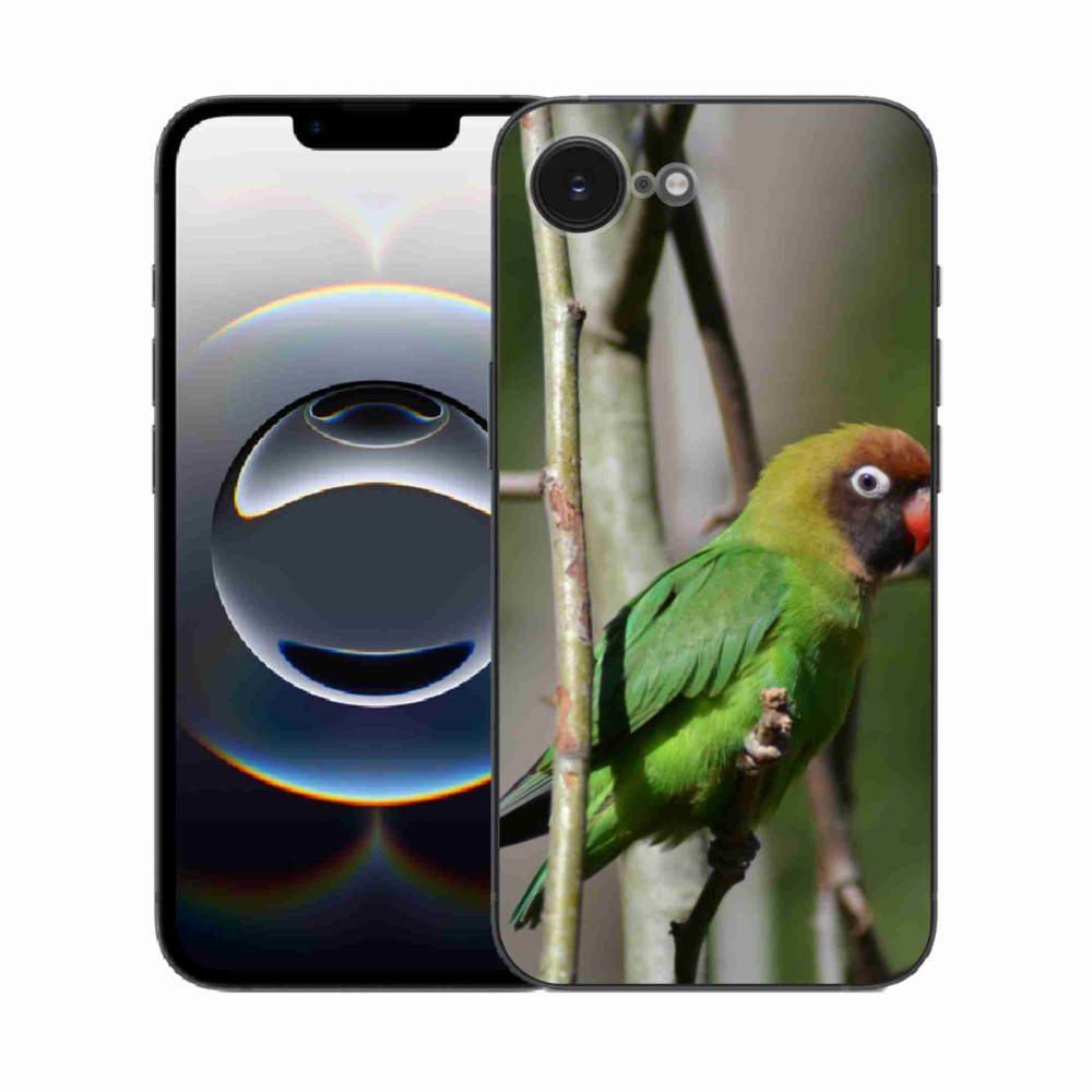 Zselés borítás mmCase iPhone 16e készülékhez - papagáj agapornis