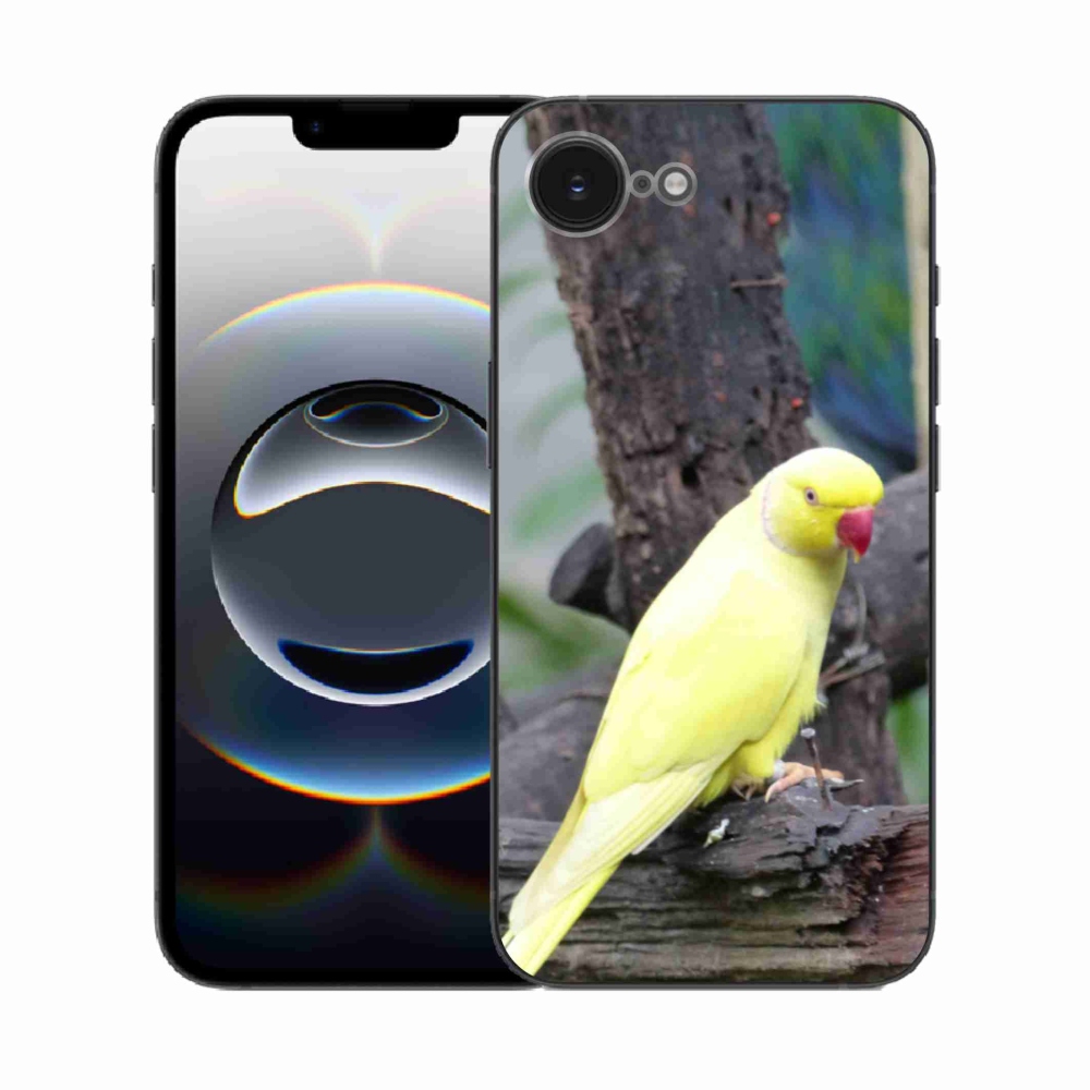 Zselés borítás mmCase iPhone 16e készülékhez - papagáj alexander sárga