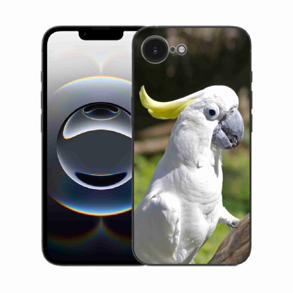 Zselés borítás mmCase iPhone 16e készülékhez - papagáj kakadu 2