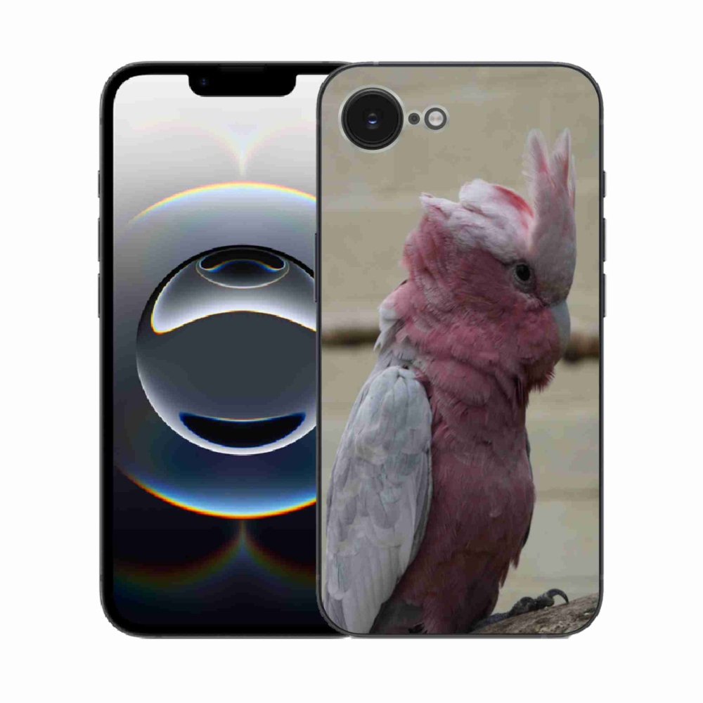 Zselés borítás mmCase iPhone 16e készülékhez - papagáj kakadu rózsaszínű