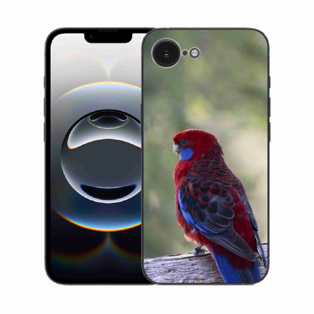 Zselés borítás mmCase iPhone 16e készülékhez - papagáj rózsa