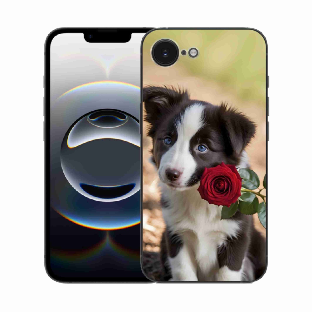 mmCase gél tok az iPhone 16e-hez – aranyos border collie rózsával