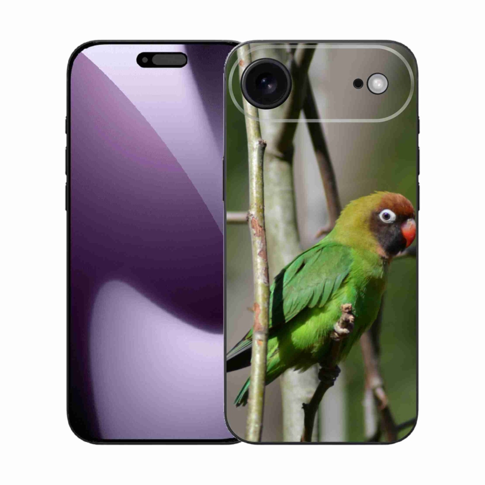 Gél borítás mmCase iPhone 17 Air készülékhez - papagáj agapornis