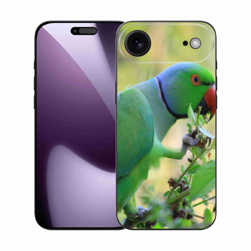 Zselés borítás mmCase iPhone 17 Air készülékhez - papagáj alexandr