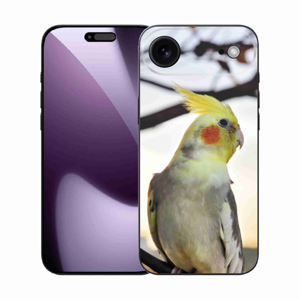 Gél borítás mmCase iPhone 17 Air készülékhez - papagáj korela