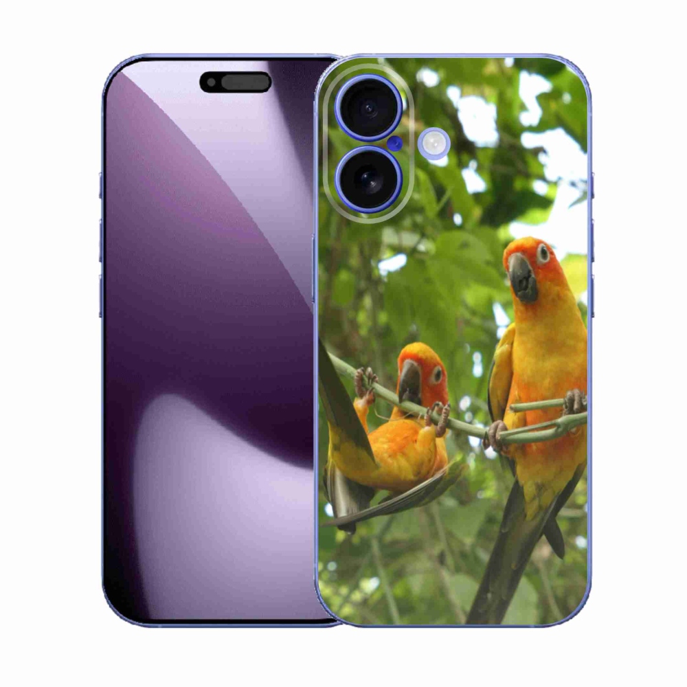 Gél borítás mmCase iPhone 17 - papagájok aratingy