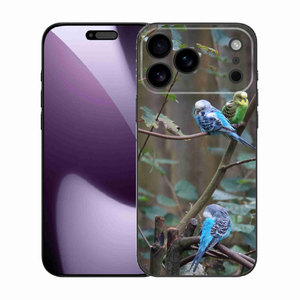 mmCase gél tok az iPhone 17 Pro Max-hoz – papagájok egy ágon