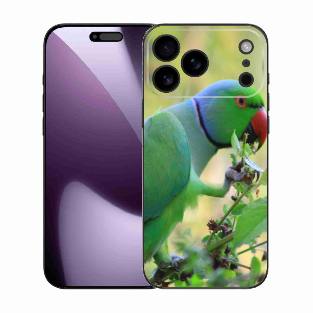 Zselés borítás mmCase iPhone 17 Pro Max készülékhez - papagáj alexandr