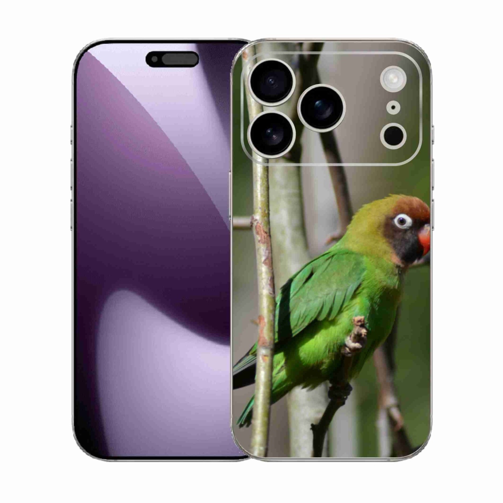 Zselés borítás mmCase iPhone 17 Pro készülékhez - papagáj agapornis