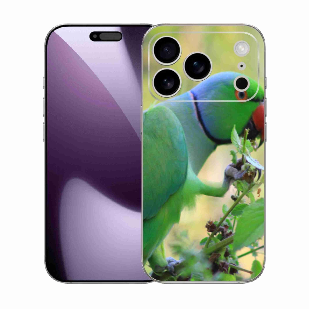 Zselés borítás mmCase iPhone 17 Pro készülékhez - papagáj alexandr