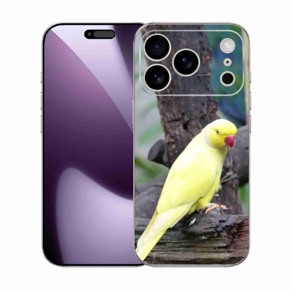 Zselés borítás mmCase iPhone 17 Pro készülékhez - papagáj alexander sárga