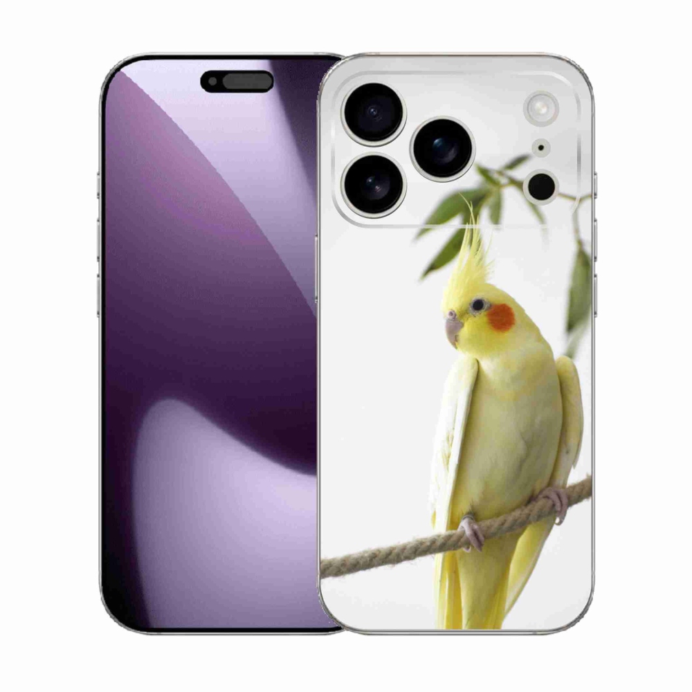 mmCase gél tok az iPhone 17 Pro-hoz – tollas papagáj