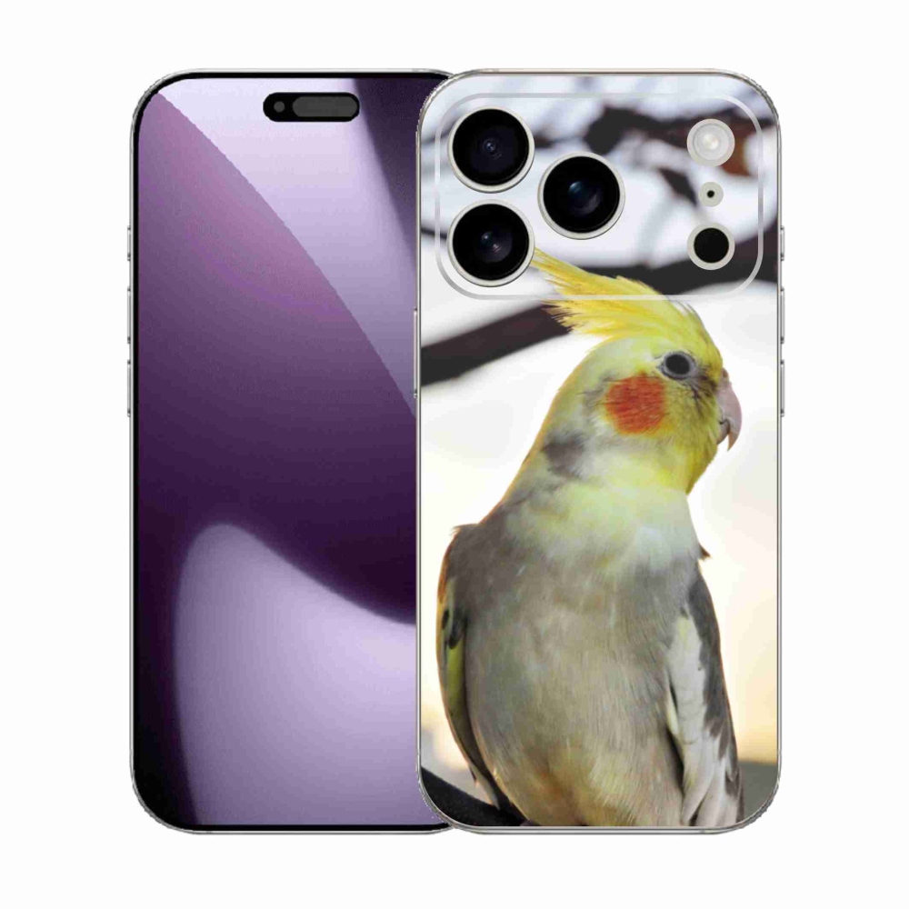 Zselés borítás mmCase iPhone 17 Pro készülékhez - papagáj korela