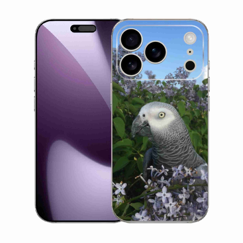 Zselés borítás mmCase iPhone 17 Pro készülékhez - papagáj