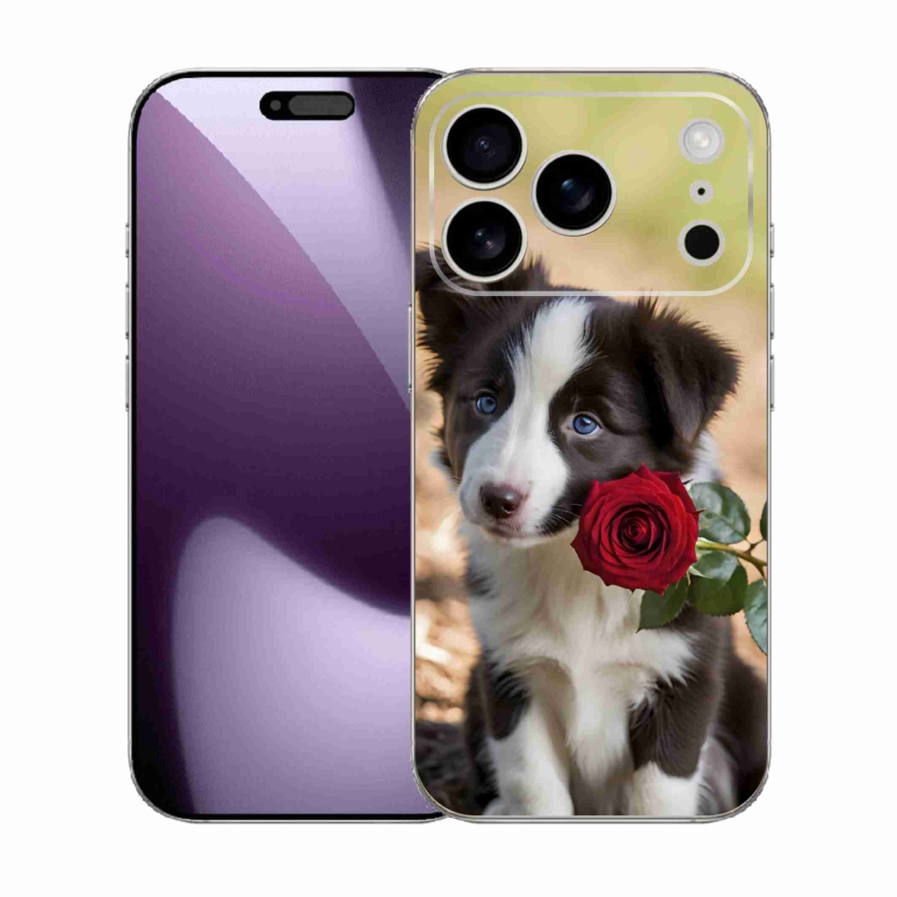 mmCase gél tok az iPhone 17 Pro-hoz – aranyos border collie rózsával