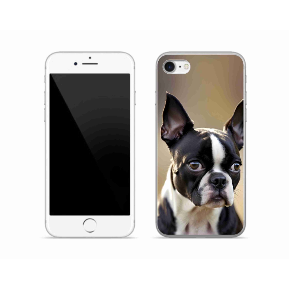 mmCase gél tok az iPhone SE (2020) készülékhez – bostoni terrier