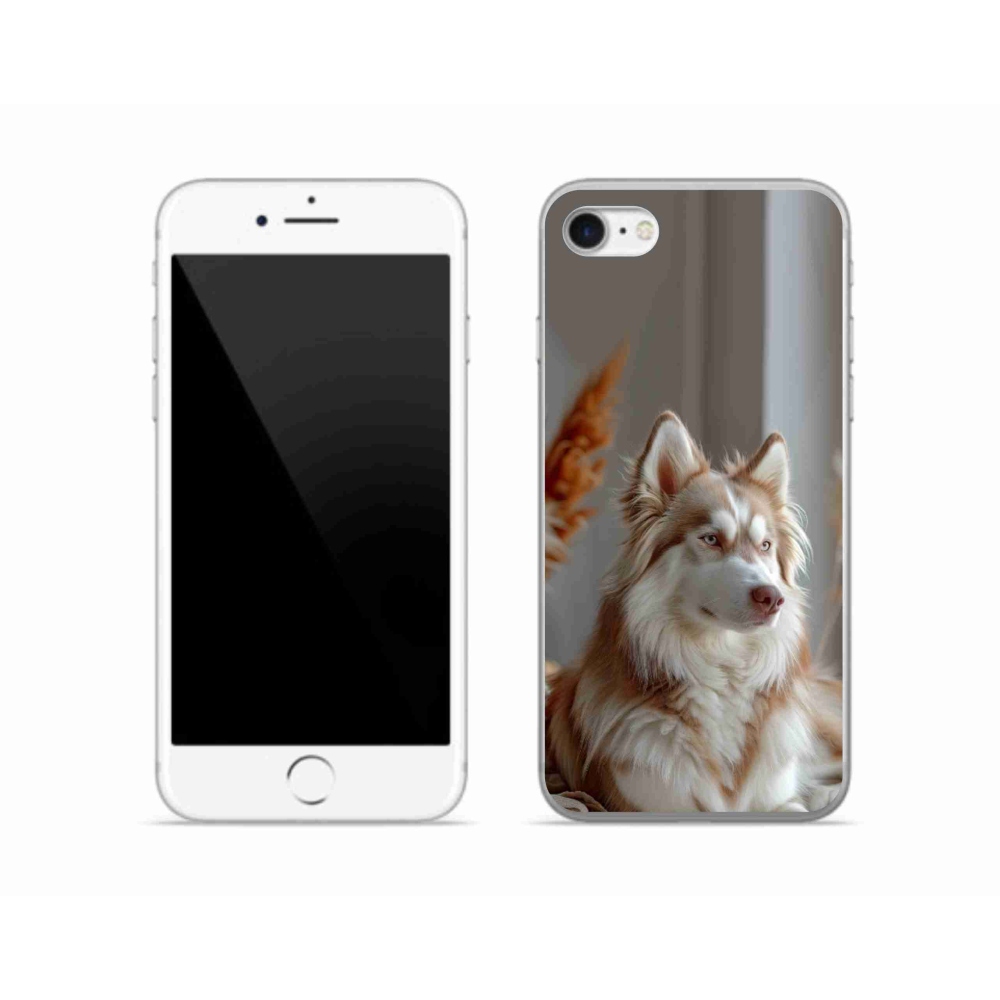 mmCase gél tok az iPhone SE (2020) készülékhez – nyugodt szibériai husky