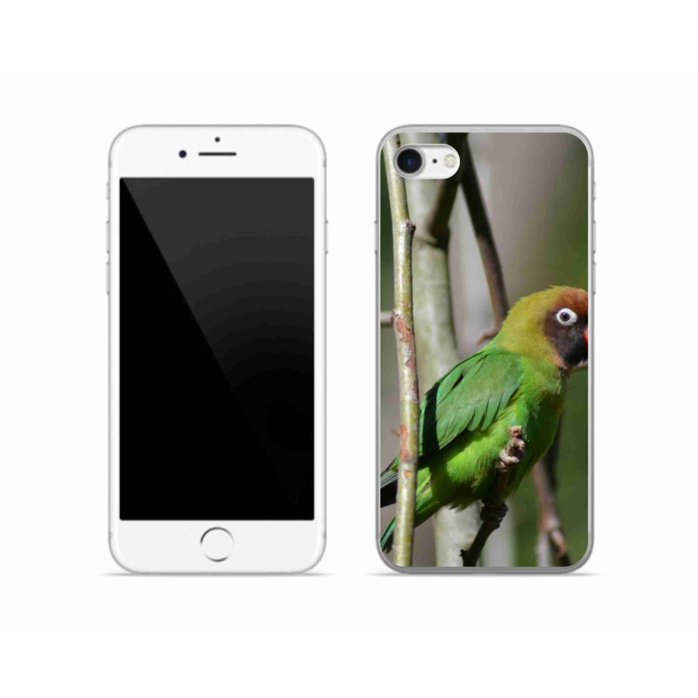 Zselés borítás mmCase iPhone SE (2020) - papagáj agapornis