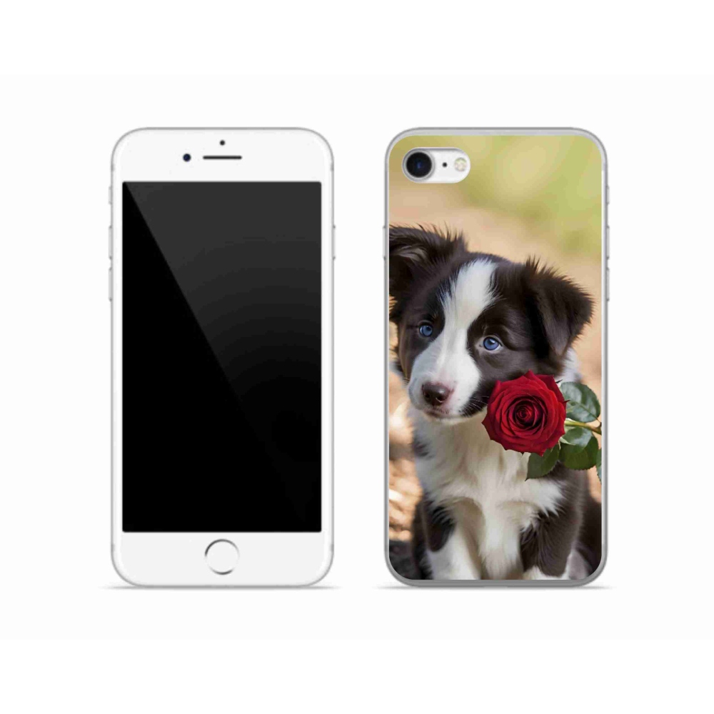 mmCase gél tok az iPhone SE (2020) készülékhez – aranyos border collie rózsával