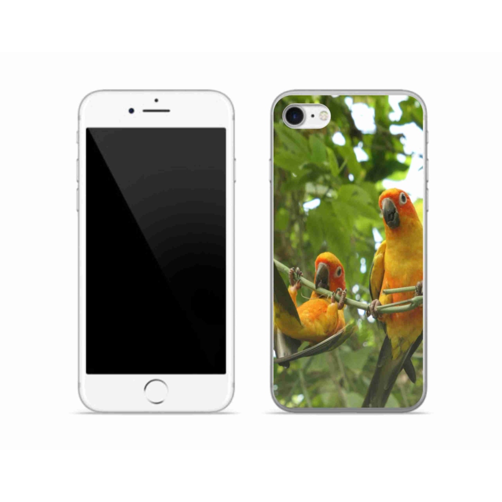 Zselés borítás mmCase iPhone SE (2022) - papagájok