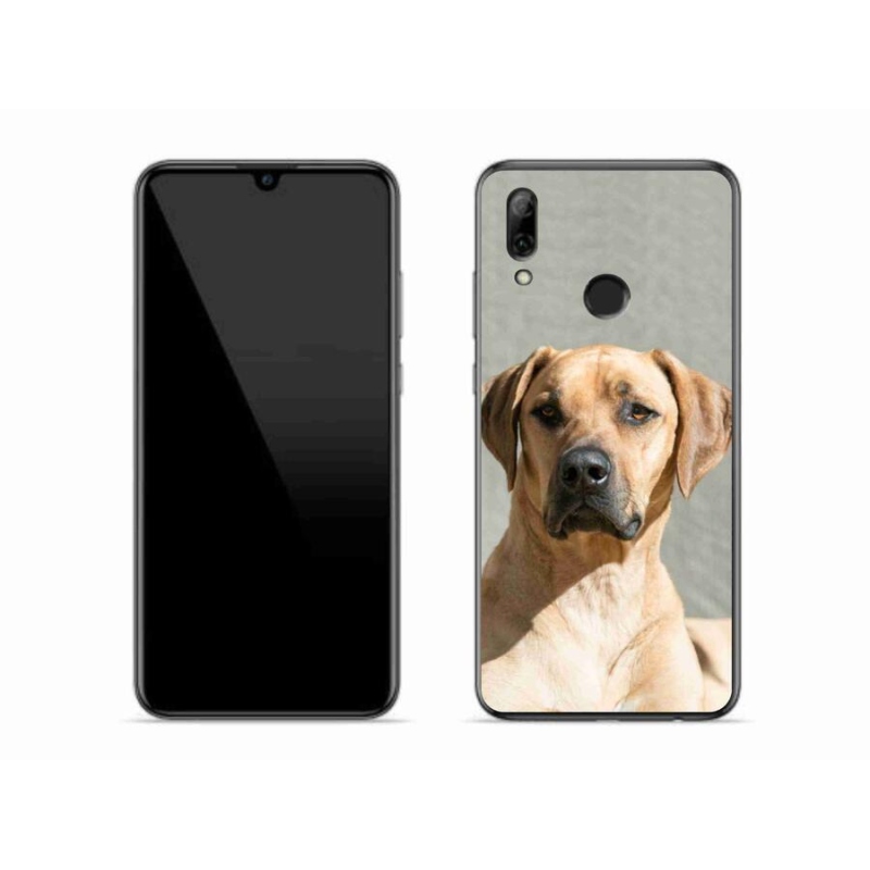 Gél borítás mmCase a Honor 10 Lite készülékhez - ridgeback