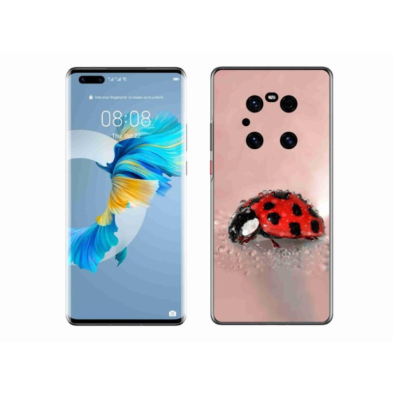 Gél borító mmCase a Huawei Mate 40 Pro készülékhez - katicabogár