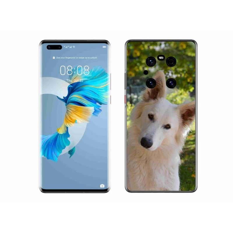Gél borítás mmCase a Huawei Mate 40 Pro készülékhez - fehér Swiss Shepherd 1