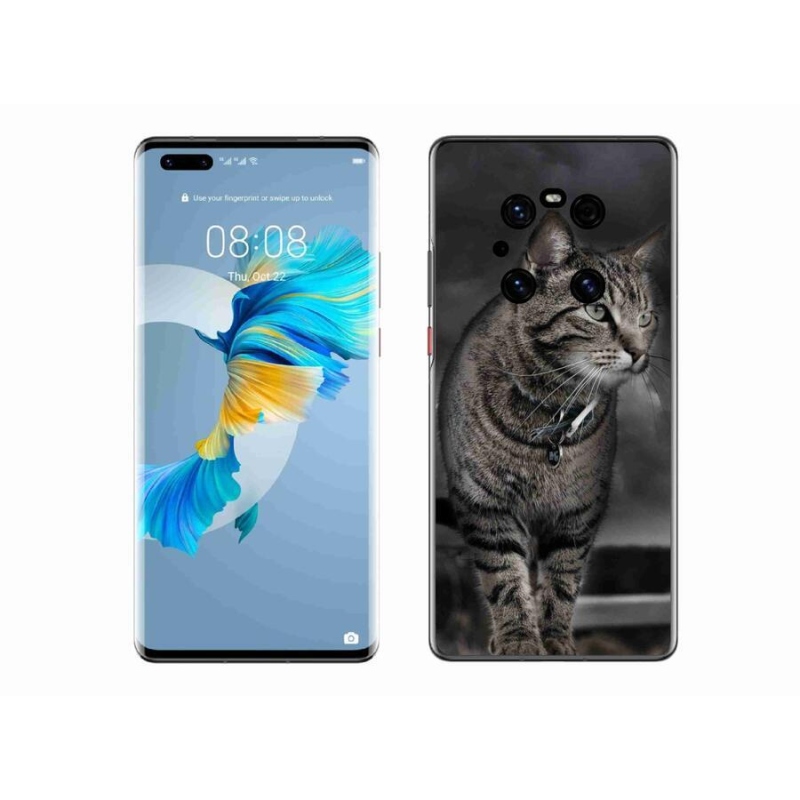 Gél borítás mmCase a Huawei Mate 40 Pro készülékhez - macska