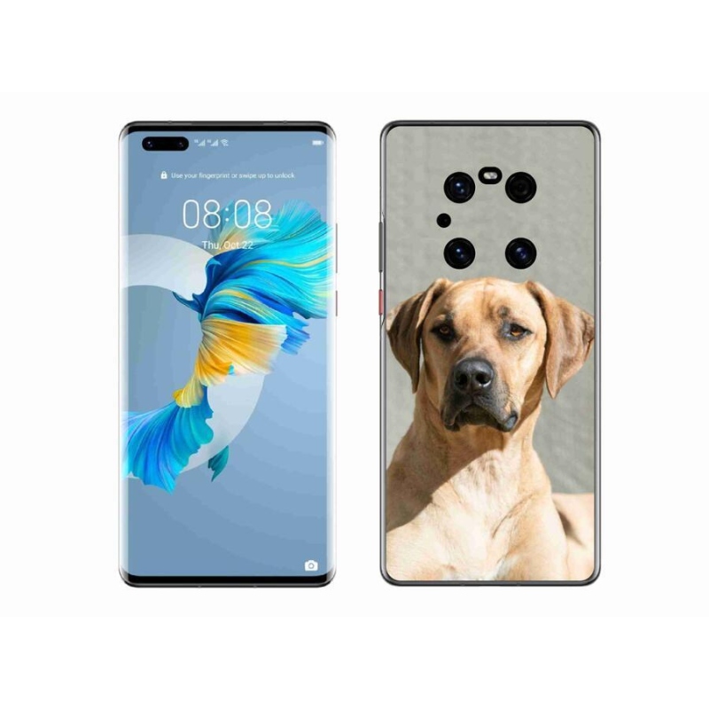 Gél borítás mmCase a Huawei Mate 40 Pro készülékhez - ridgeback
